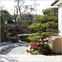 神戸市北区・お庭の植栽(まき・松等)