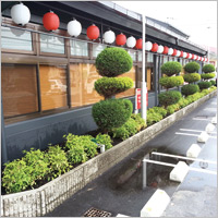 宝塚 店舗の植栽