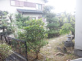 神戸市北区・空き家の庭木剪定