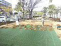 大阪府・駐車場緑化
