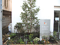 宝塚市・クリニックの植栽