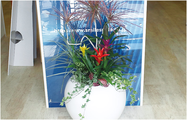 『グリーンリース』イメージ写真2